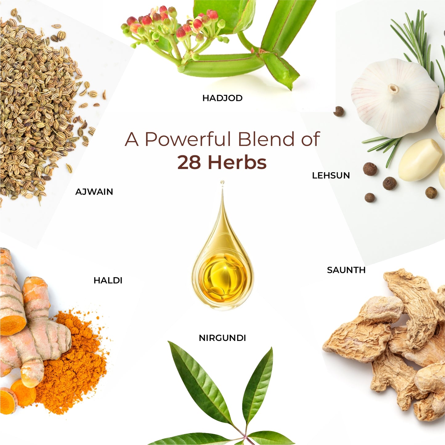 Ortho Amrit Oil