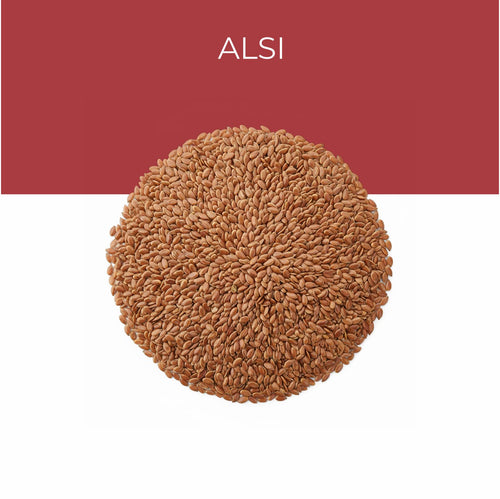 Alsi