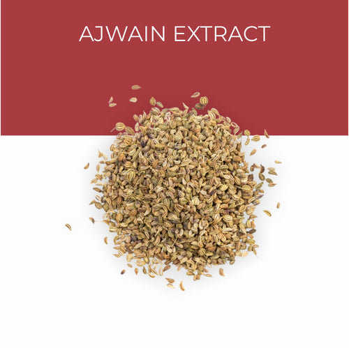 Ajwain Extract