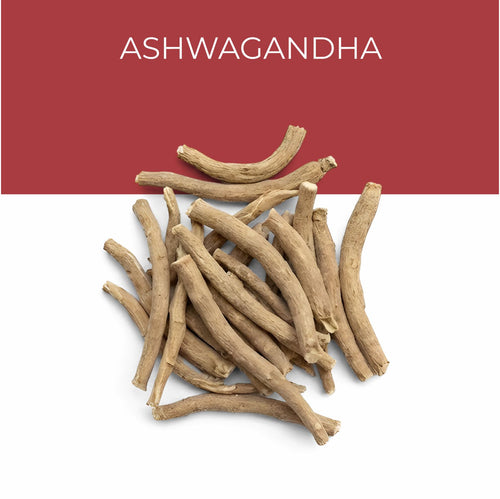 Ashwagandha Extract 