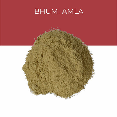 Bhumi Amla Extract
