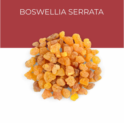 Boswellia Serrata Extract