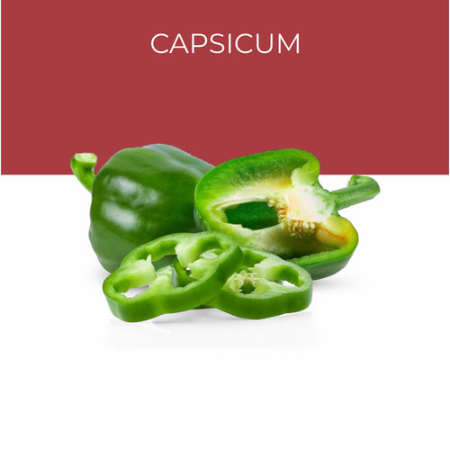 Capsicum