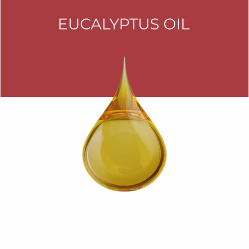 Eucalyptus Oil