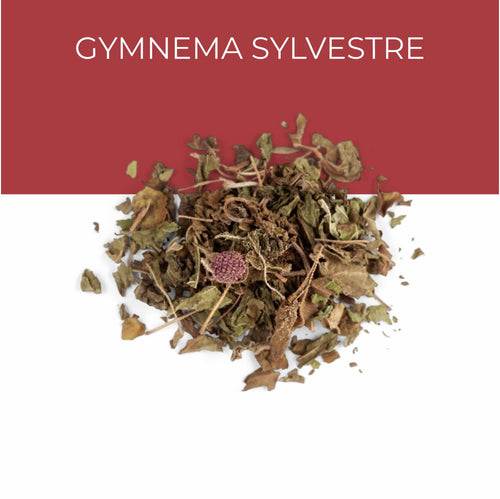 Gymnema Sylvestre Extract