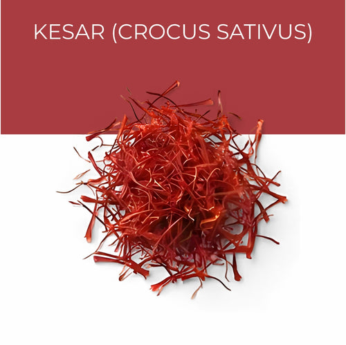 Kesar (Crocus sativus)