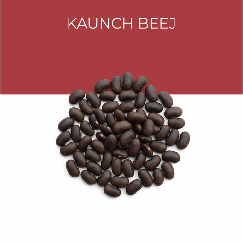 Kaunch Beej Extract