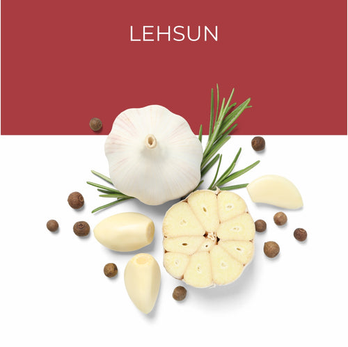Lehsun