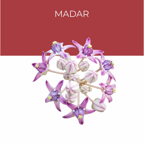 Madar