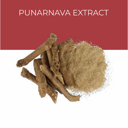 Punarnava Extract