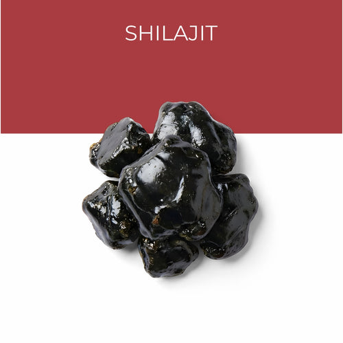 Shilajit (Purified)