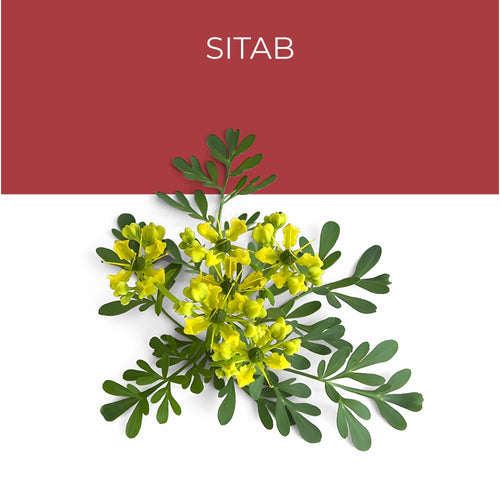 Sitab