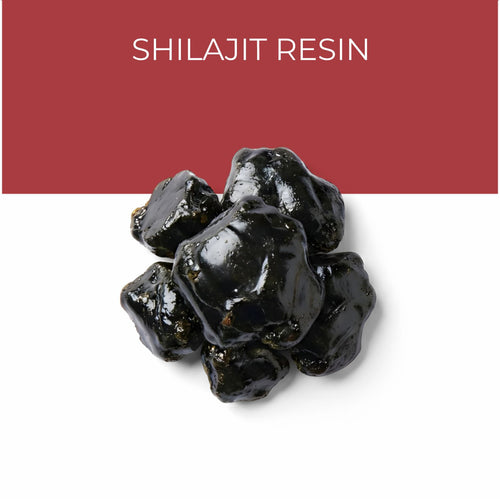 Shilajit Resin (Purified) 
