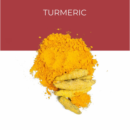 Turmeric Extract