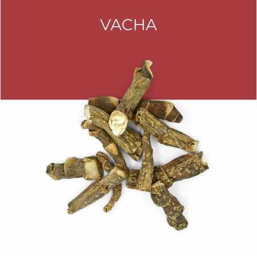Vacha